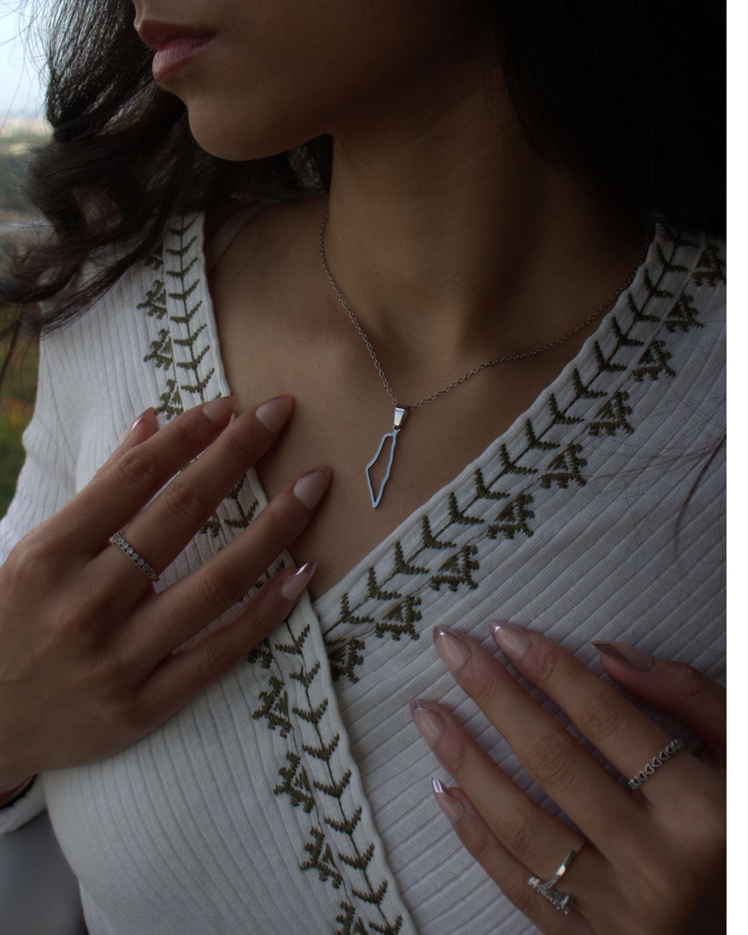 Silver Palestine Outline Necklace