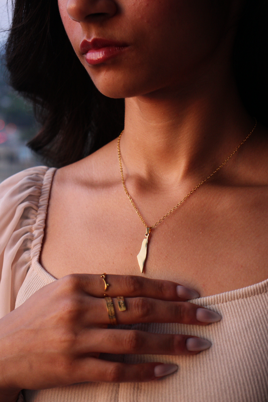 Gold Palestine Map Necklace